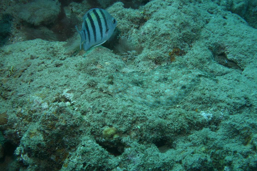 2008-05-17 15-39-53 H.JPG